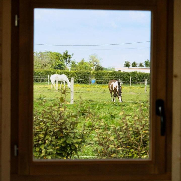 Photo of Others in Annouville-Vilmesnil