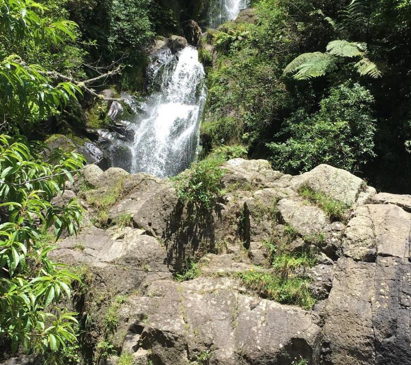 Photo of Others in Papamoa