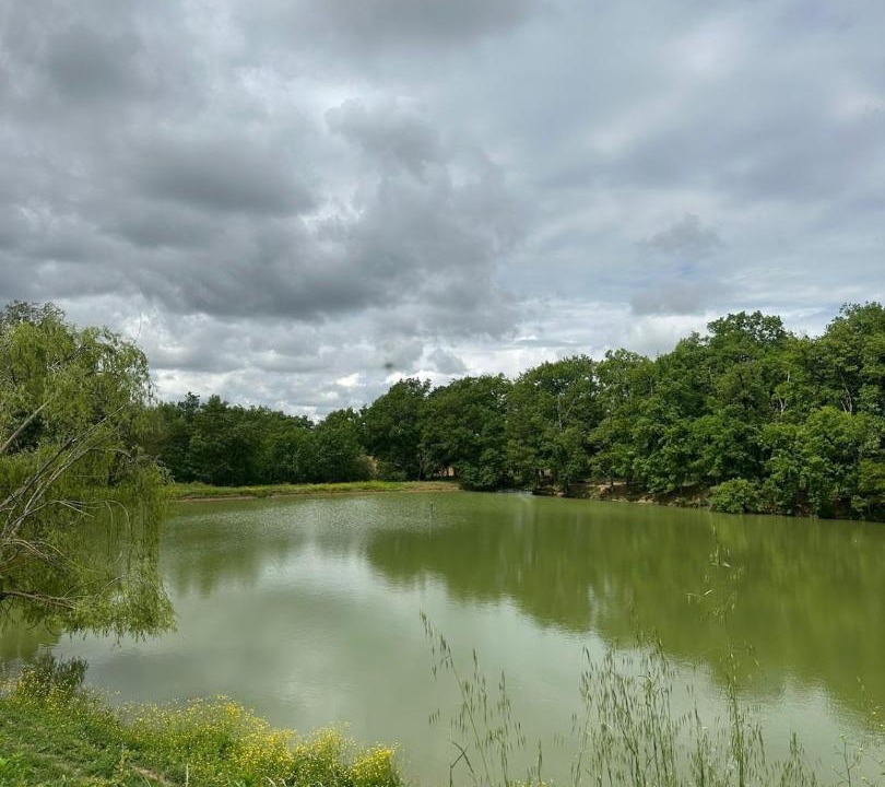 Photo of Others in Puygouzon