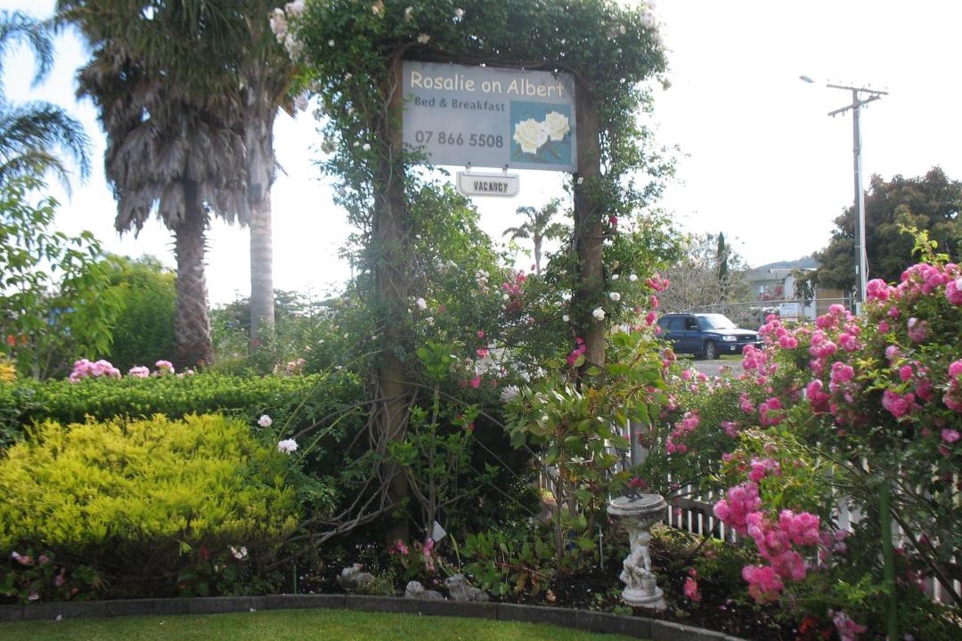 Photo of Others in Whitianga