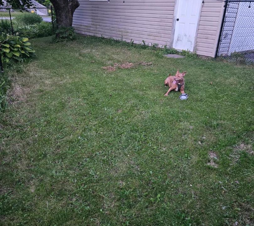 Photo of Others in Saint John