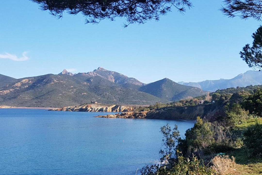 Photo of Others in Galeria