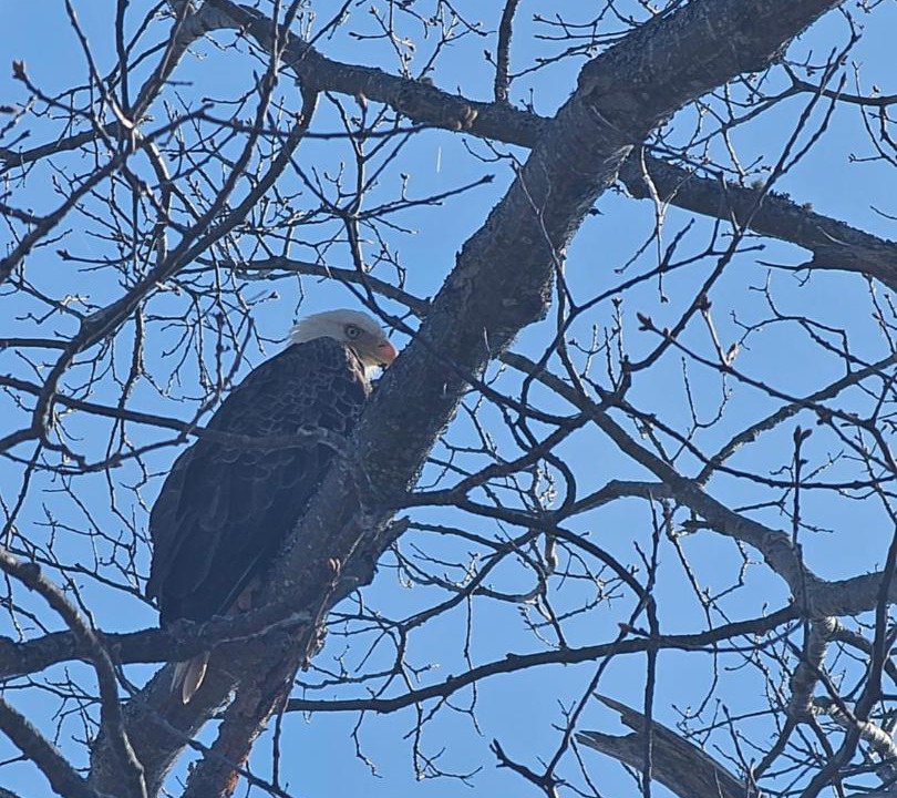 Photo of Others in Hantsport