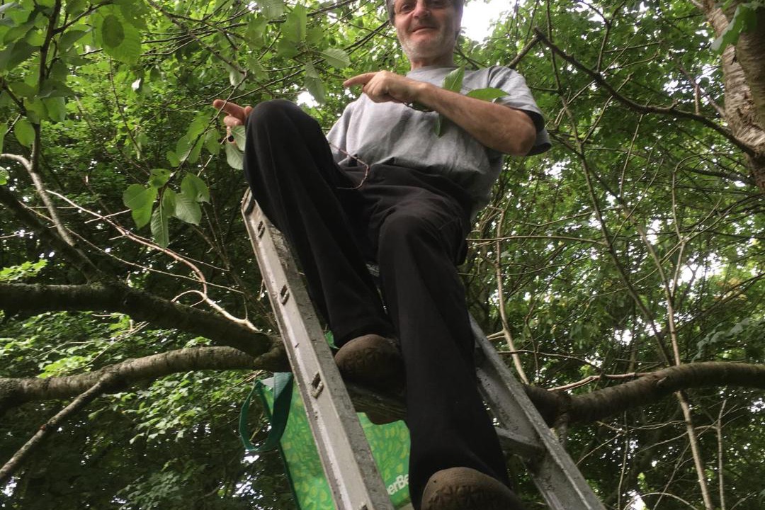 Photo of Others in Dronninglund