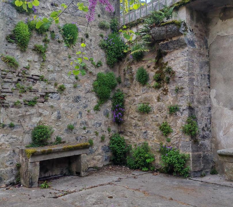 Photo of Others in Saint-Antonin Noble Val
