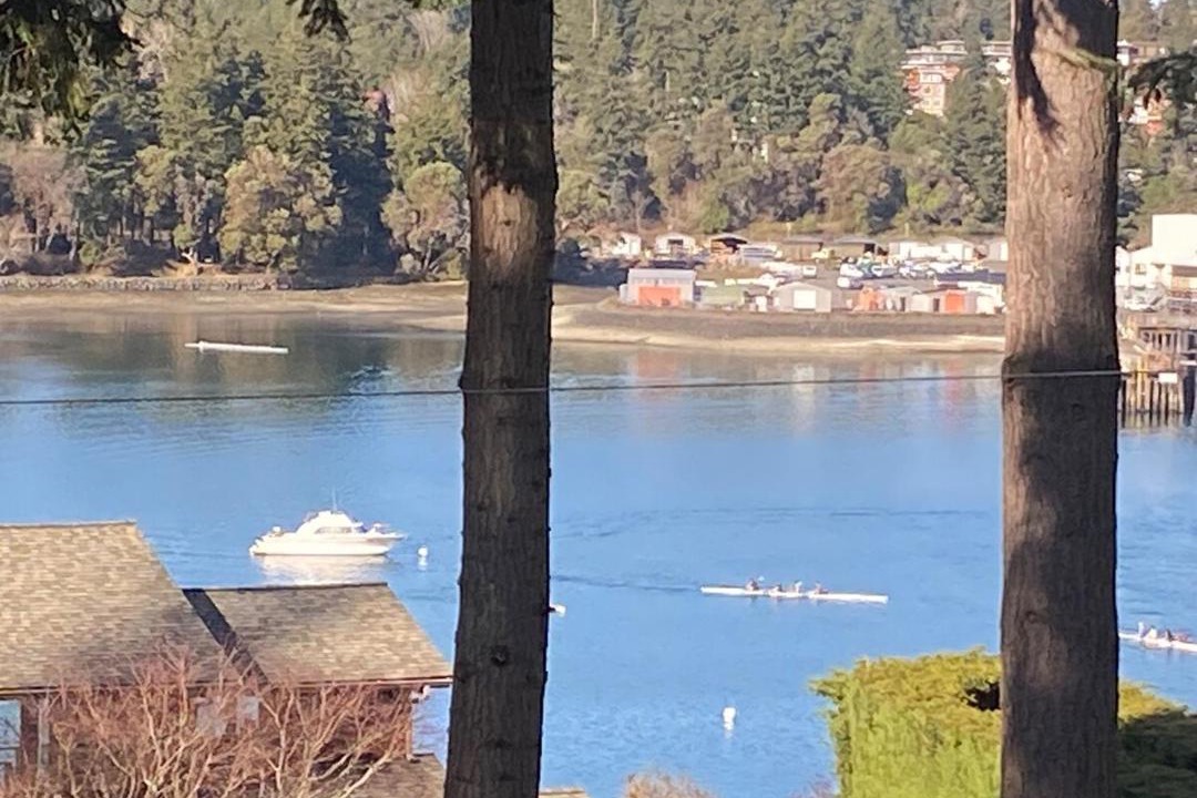 Photo of Others in Bainbridge Island