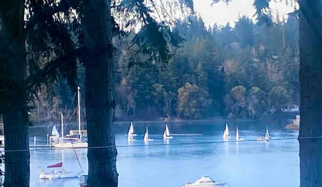 Photo of Others in Bainbridge Island