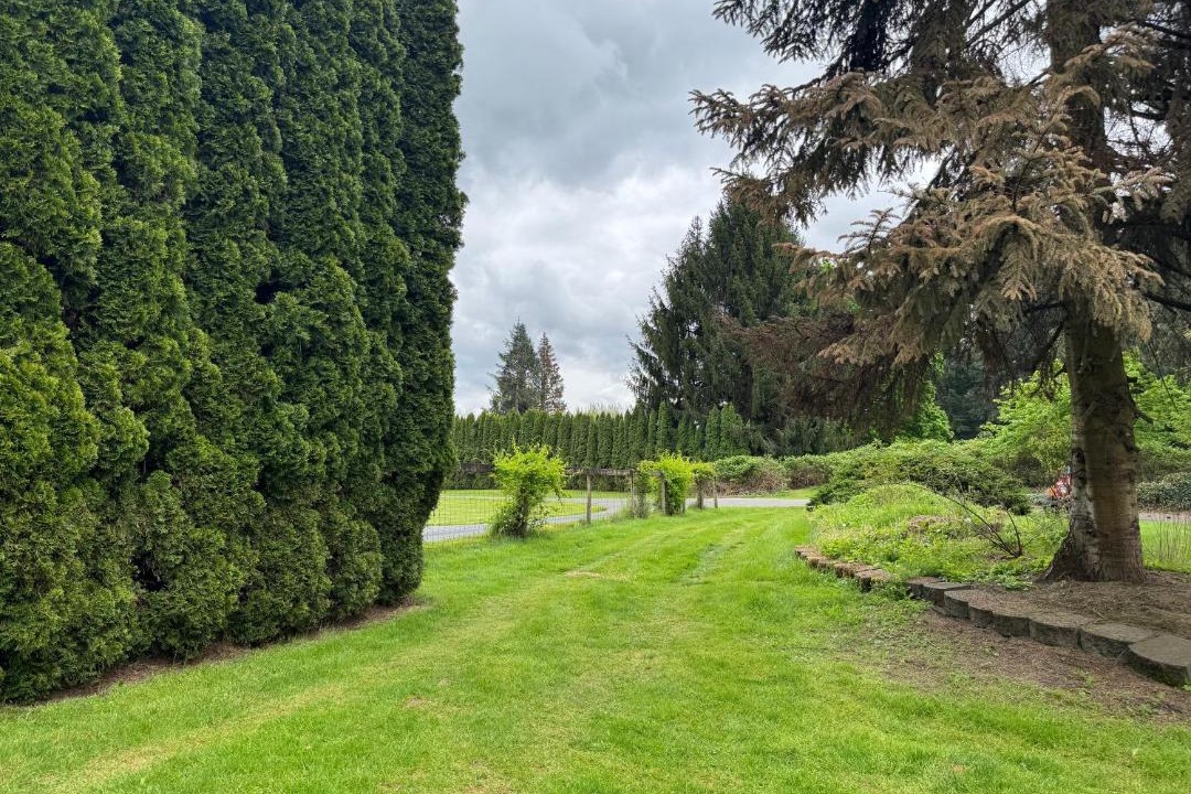 Photo of Outdoor in Brush Prairie