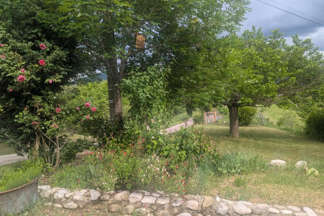 Photo of Others in Saint-Roman