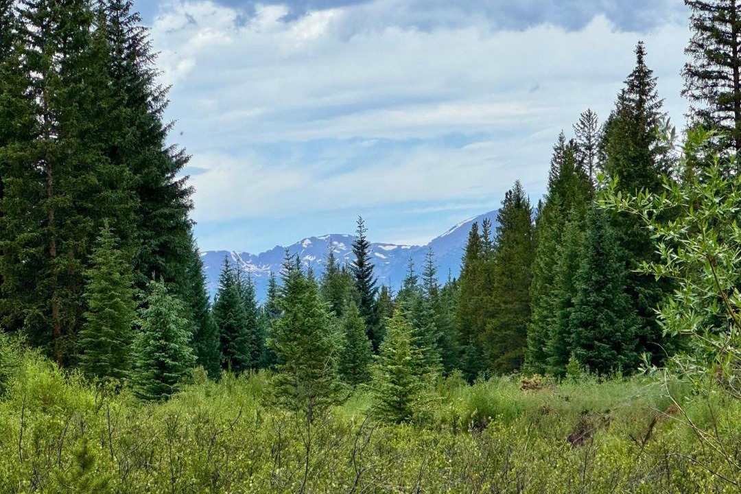Photo of Others in Keystone