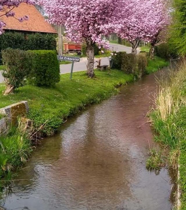 Photo of Others in Lebiez