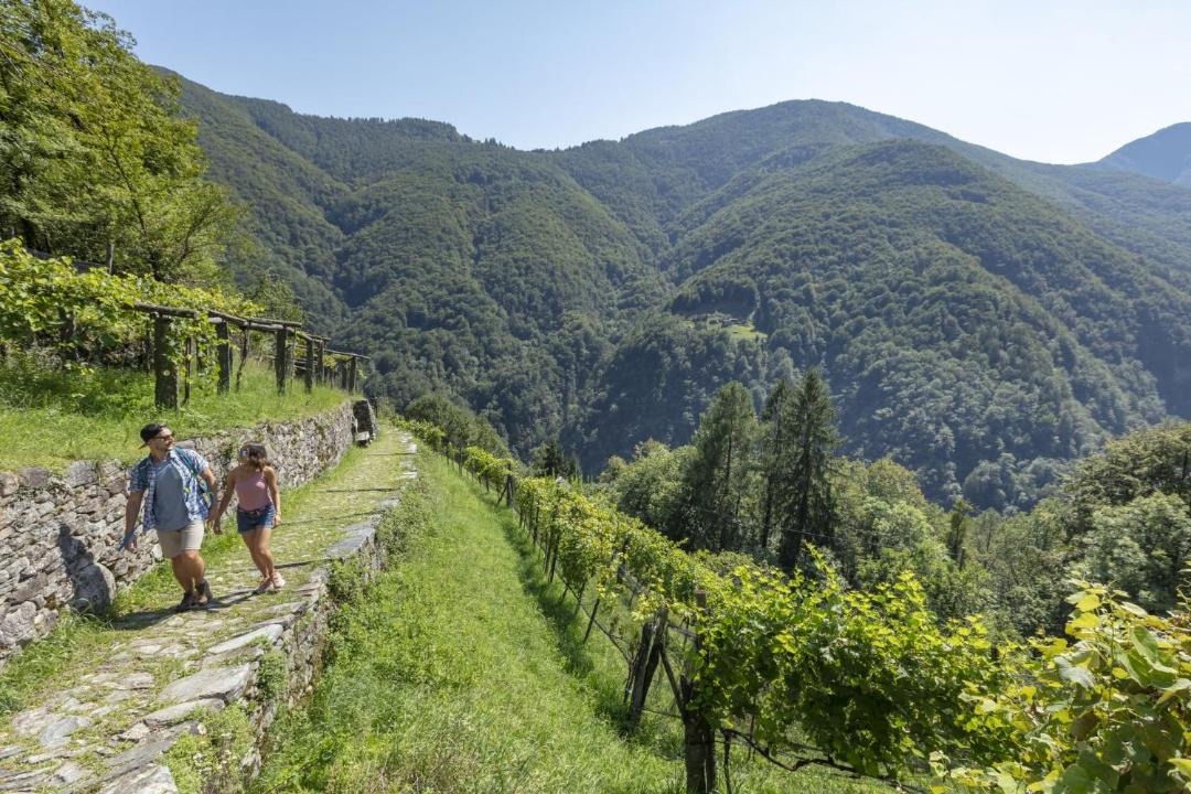 Photo of Others in Onsernone