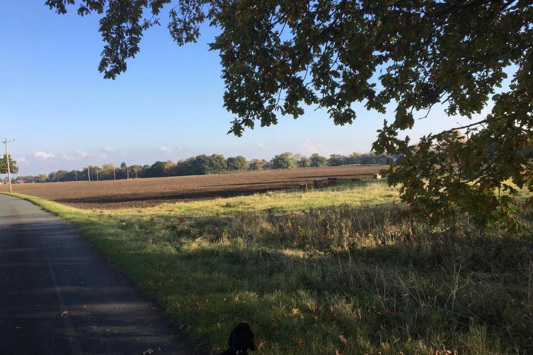 Photo of Others in Stillingfleet