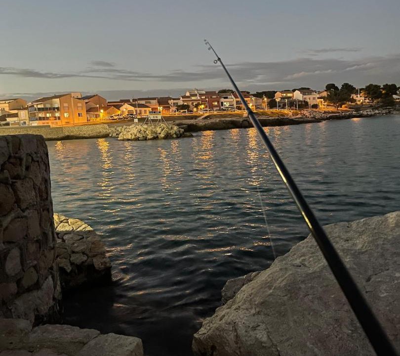 Photo of Others in Martigues