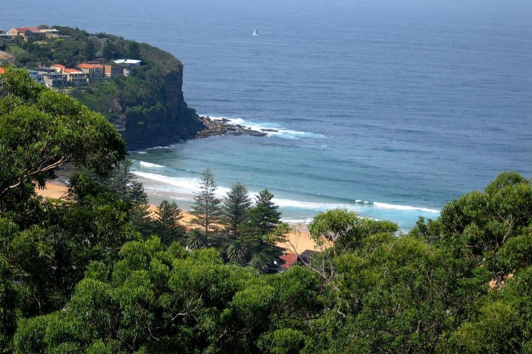 Photo of Others in Bilgola Plateau
