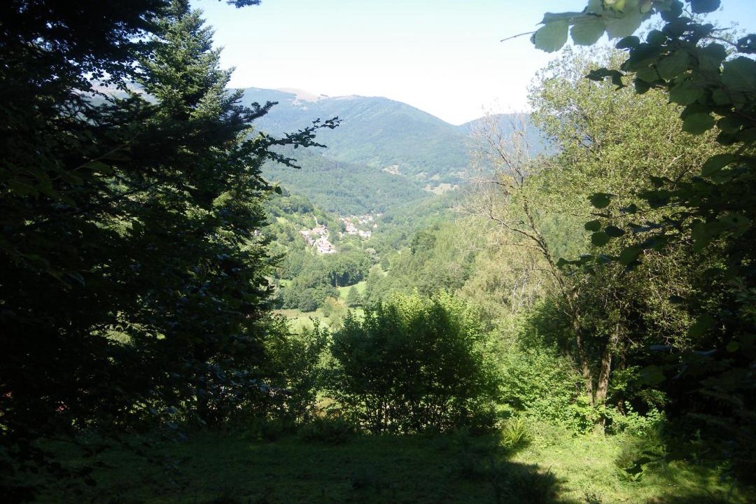 Photo of Others in Lautenbachzell