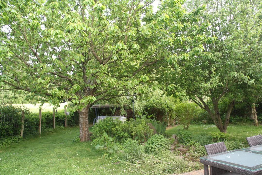 Photo of Others in Guigneville-sur-Essonne