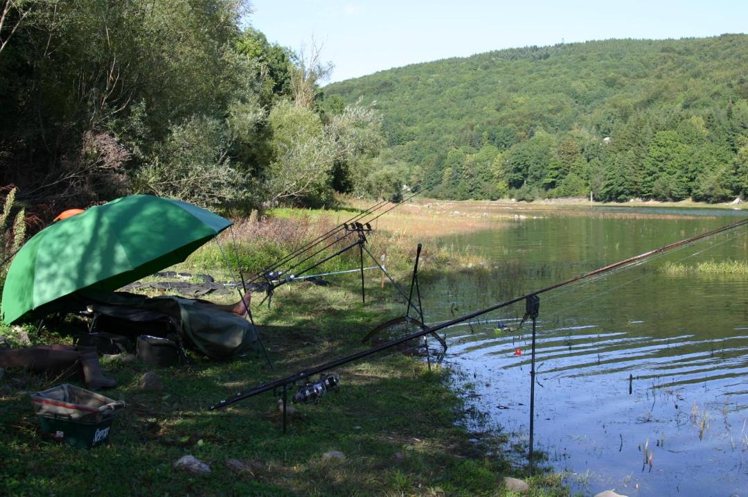 Photo of Outdoor in Nages