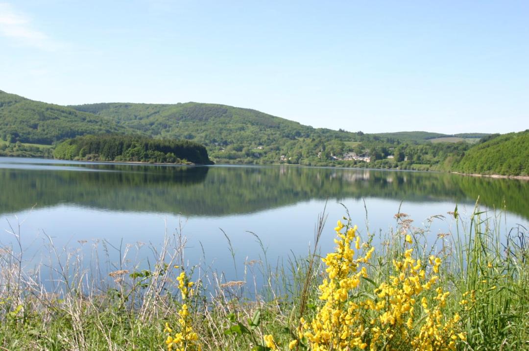 Photo of Others in Nages