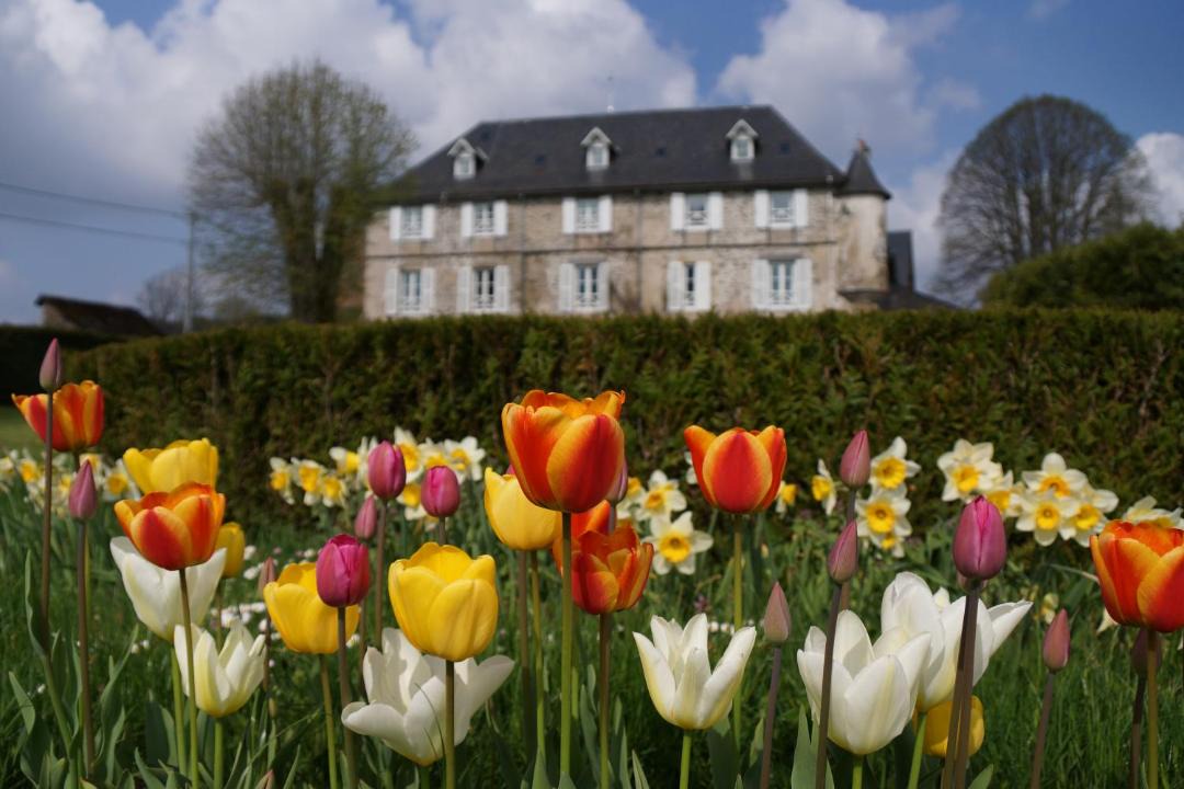 Photo of Others in Savennes