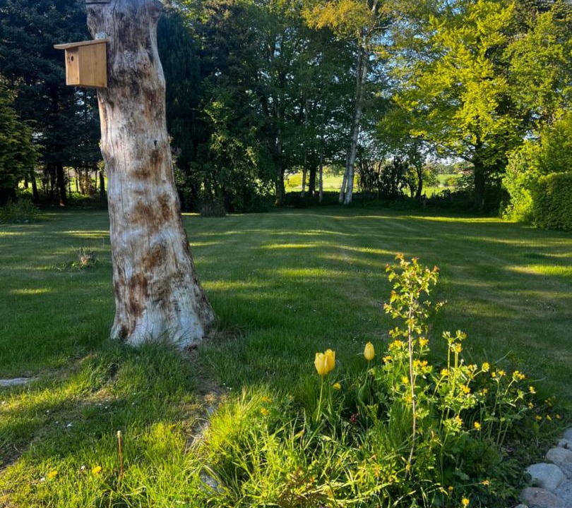 Photo of Others in Kettinge
