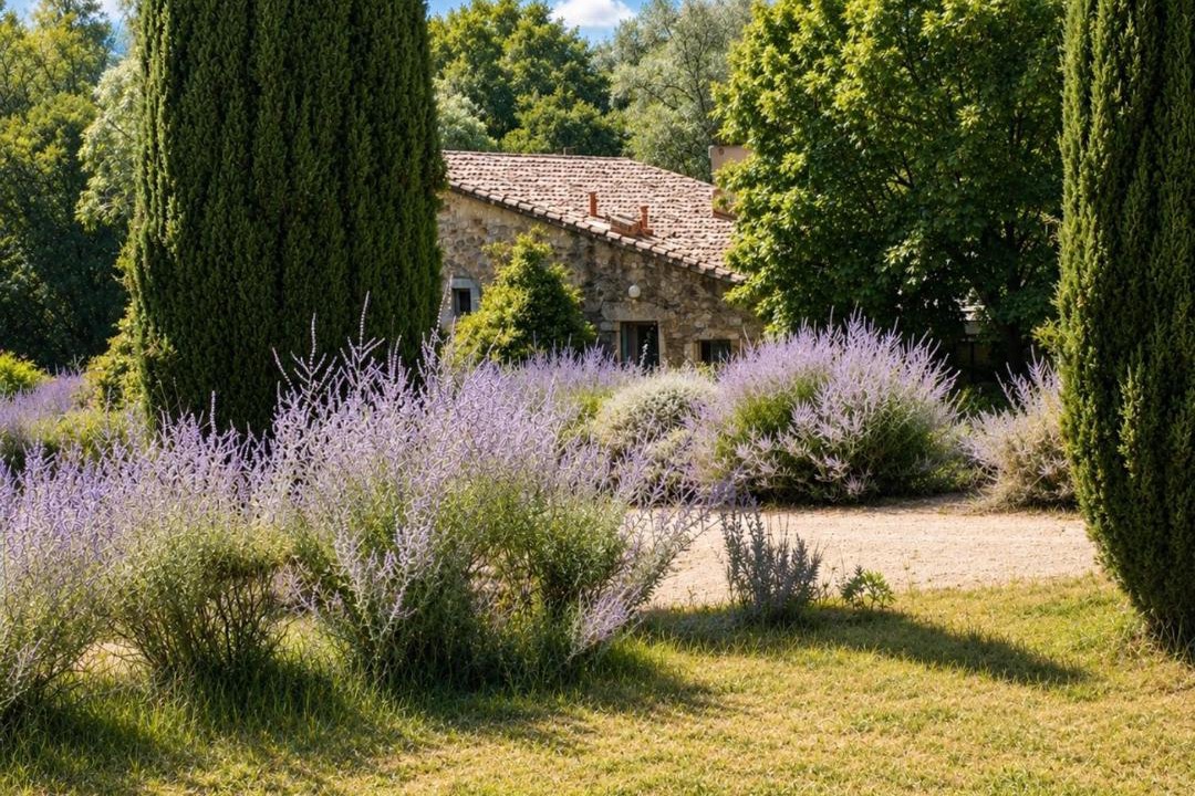Photo of Others in La Roque-sur-Ceze
