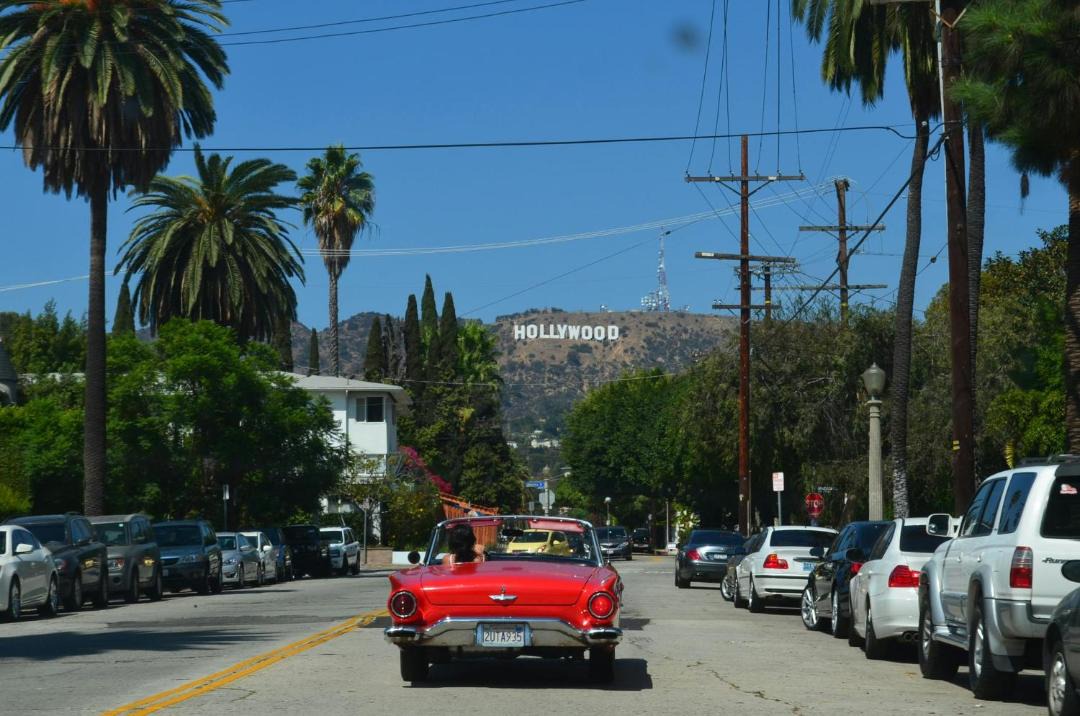 Photo of Others in NoHo Arts District
