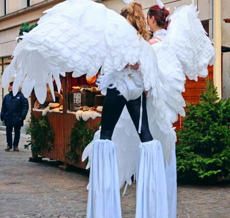 Photo of Others in Montbeliard