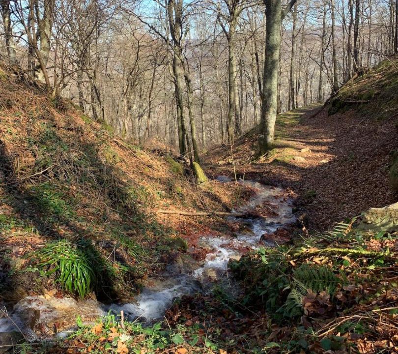 Photo of Others in Ferrieres sur Ariege