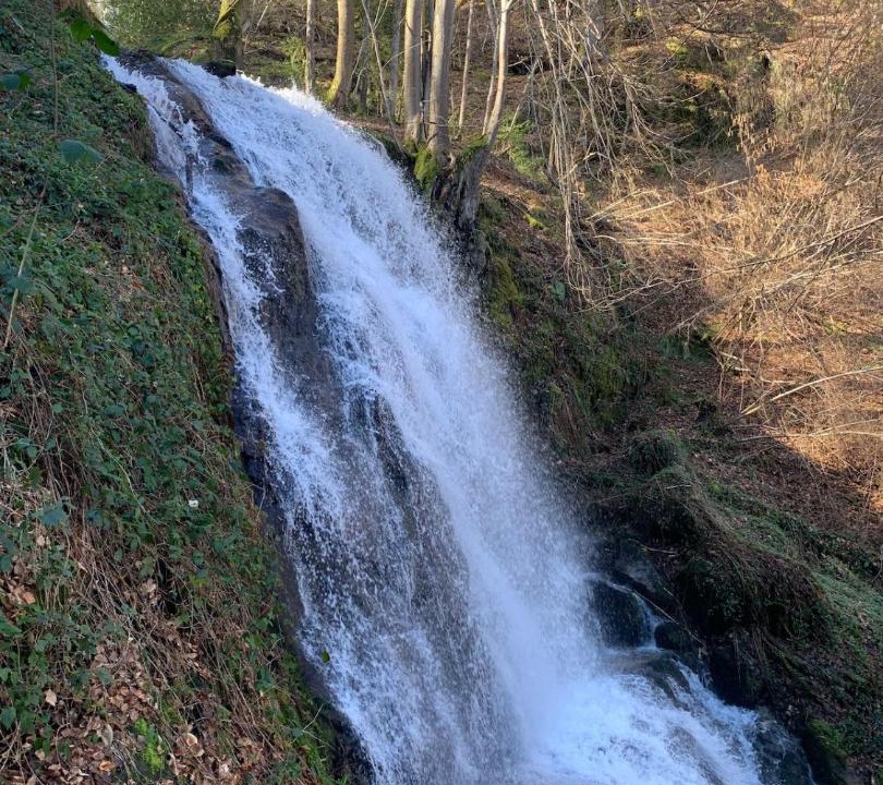 Photo of Others in Ferrieres sur Ariege
