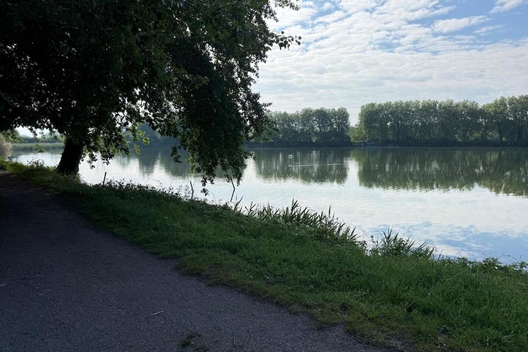 Photo of Others in Sin-le-Noble