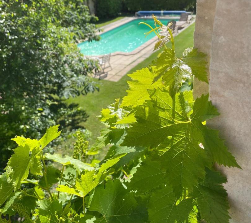 Photo of Others in Sauzet