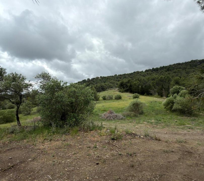 Photo of Others in Roquefort-des-Corbieres