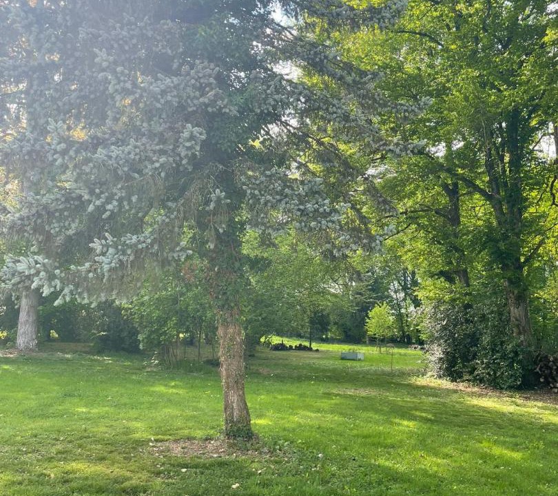 Photo of Others in La Batie-Montgascon