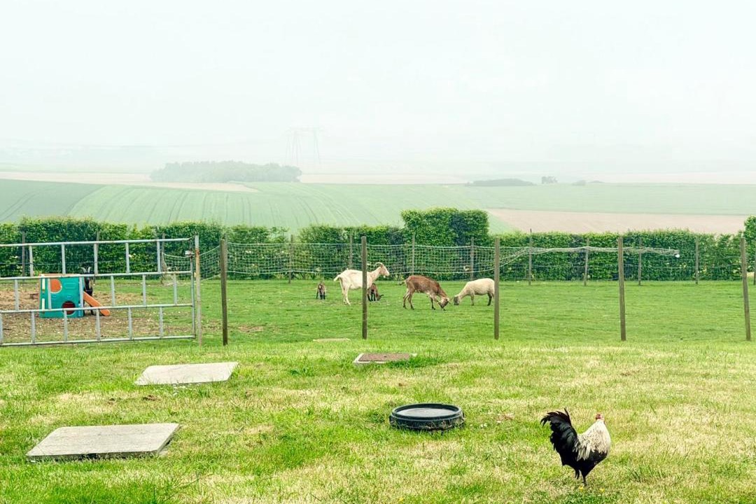 Photo of Others in Fiennes
