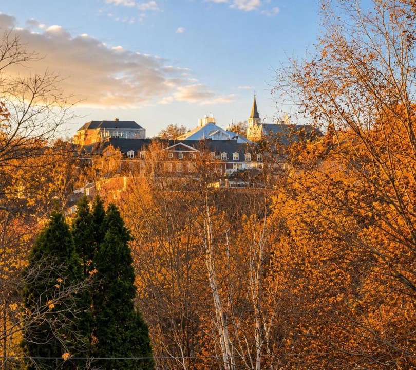 Photo of Others in Fredericton