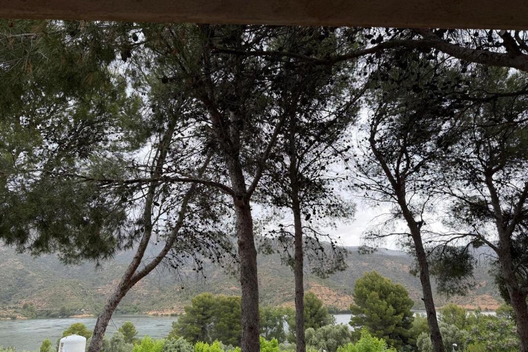 Photo of Others in Riba-Roja d'Ebre