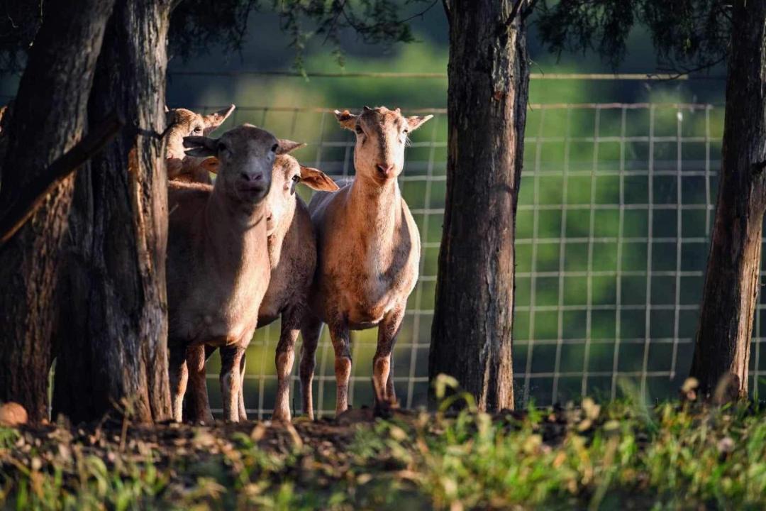 Photo of Others in Sweetwater