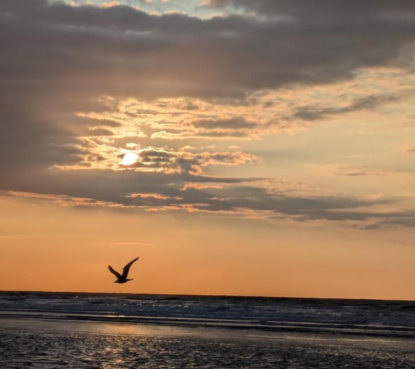 Photo of Others in Cabourg
