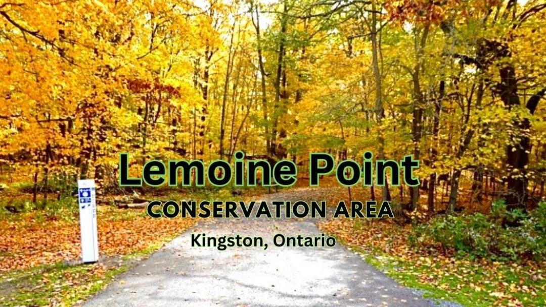 Photo of Others in Kingston