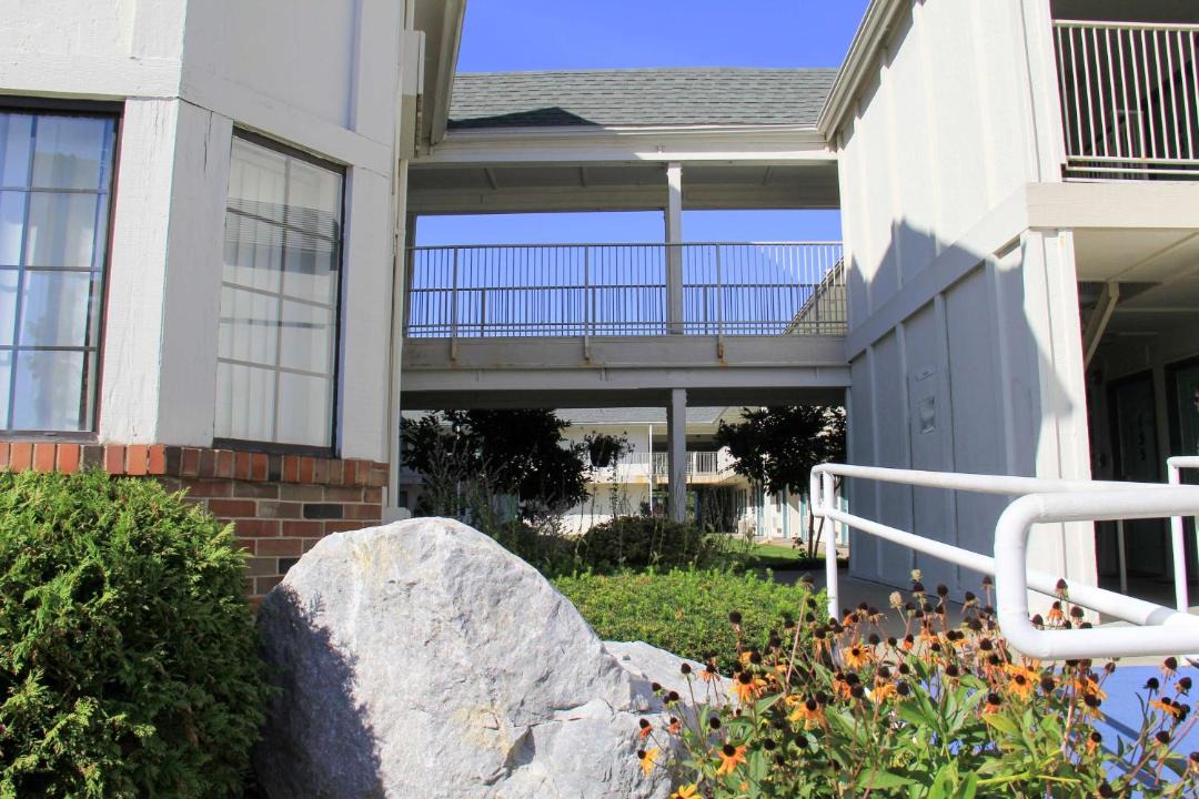 Photo of Others in Enfield