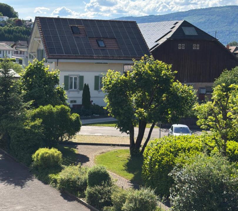 Photo of Others in Studen