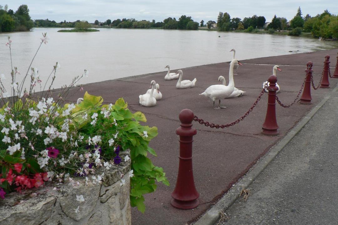 Photo of Buildings in Vignonet