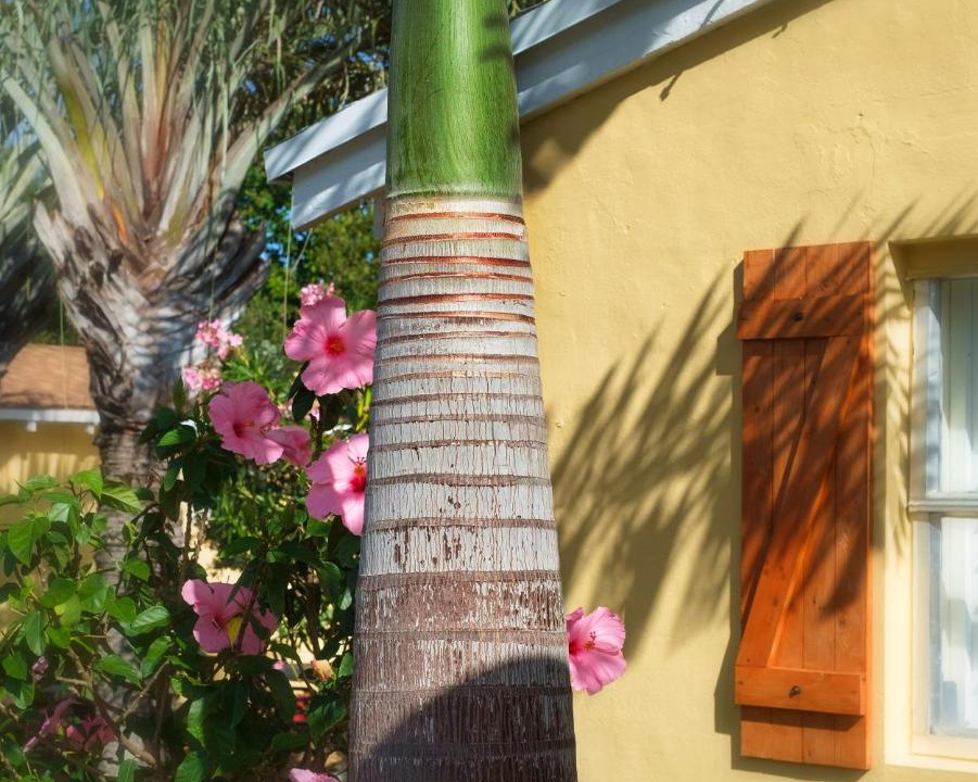 Photo of Others in Delray Beach