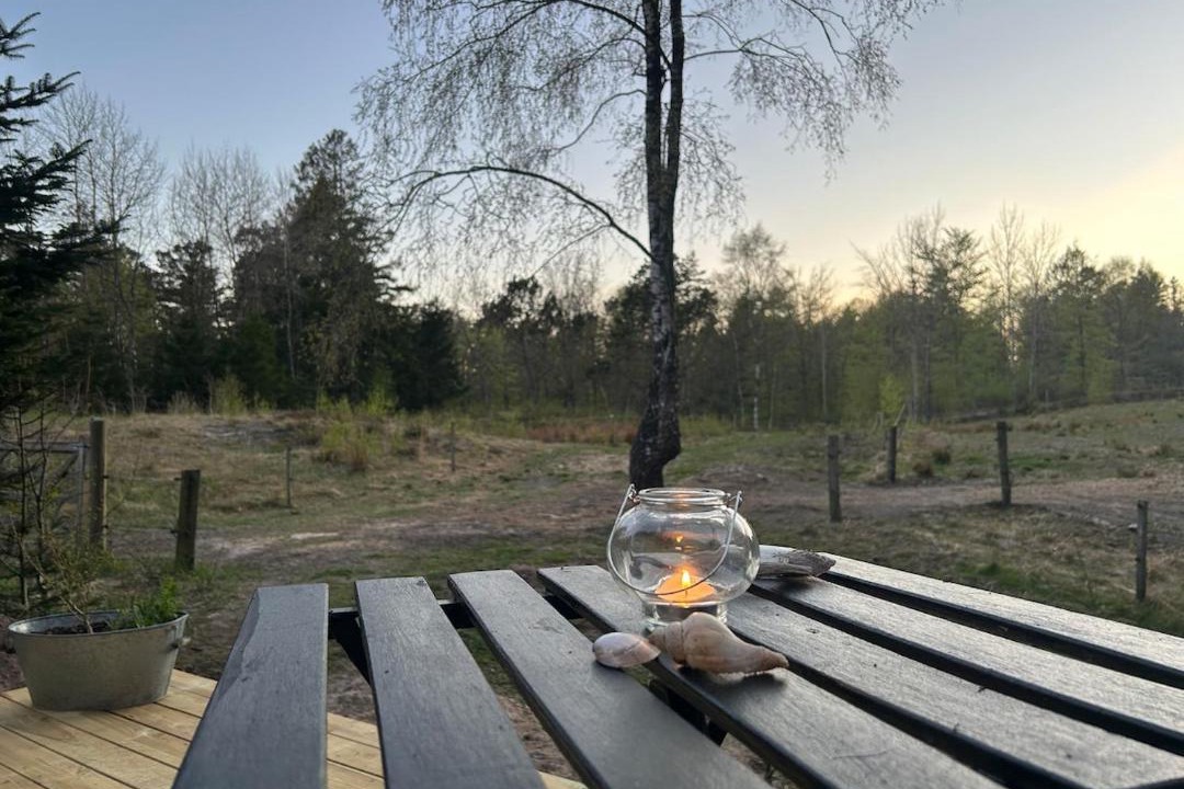 Photo of Others in Bindslev