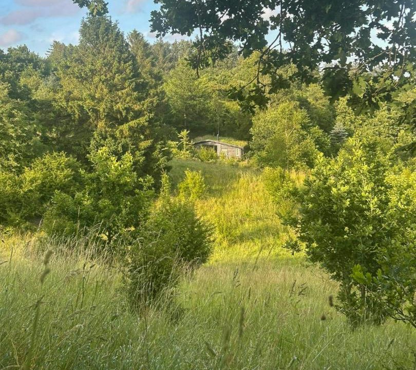 Photo of Others in Rebild Municipality