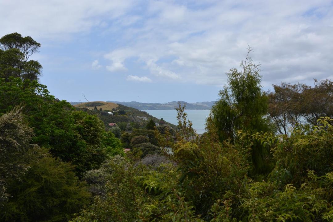 Photo of Others in Whitianga