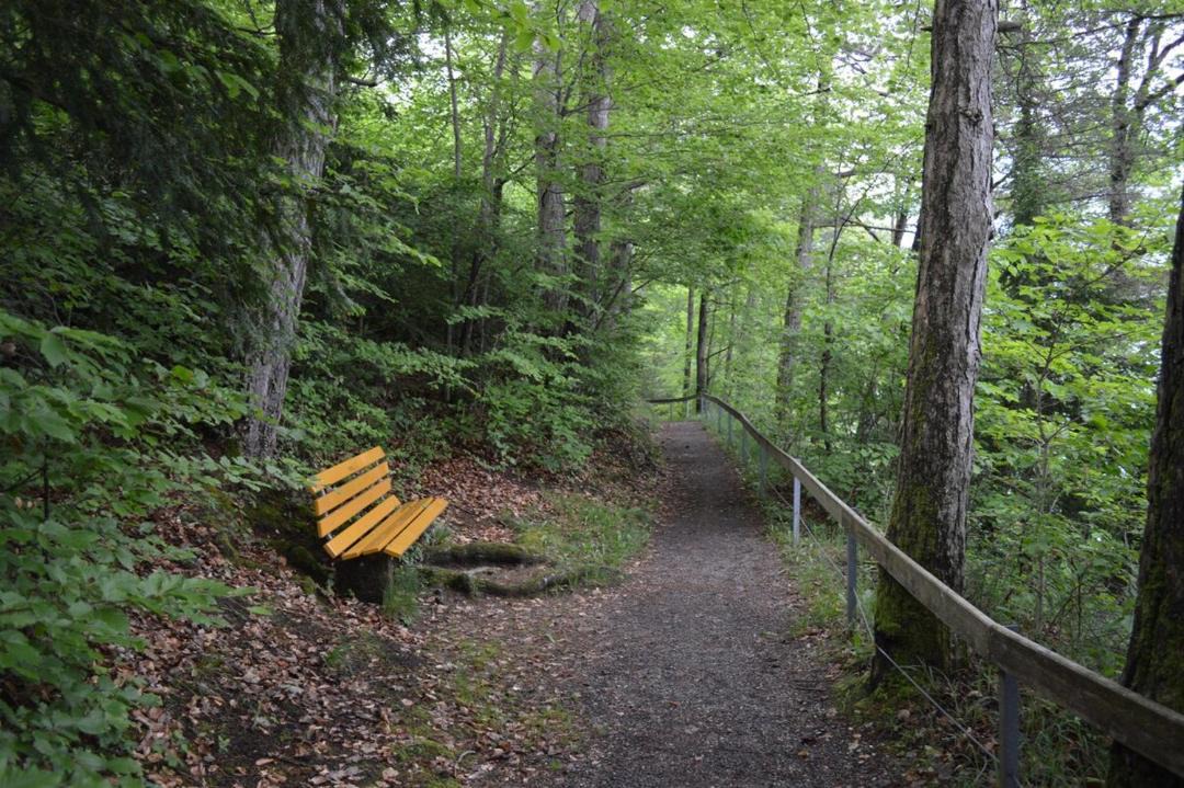 Photo of Others in Ringgenberg