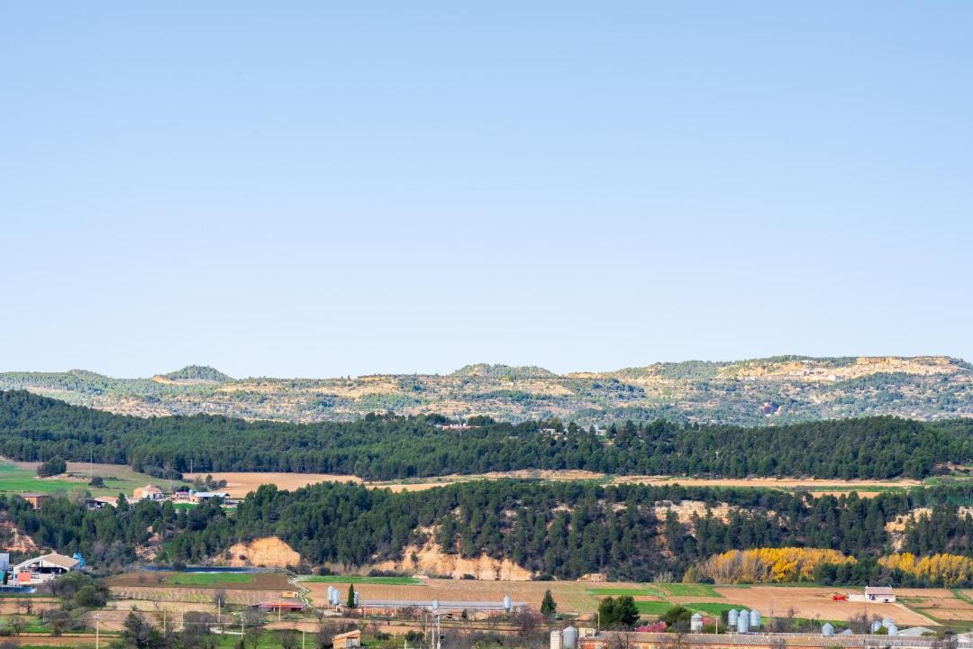 Photo of Others in Penarroya de Tastavins