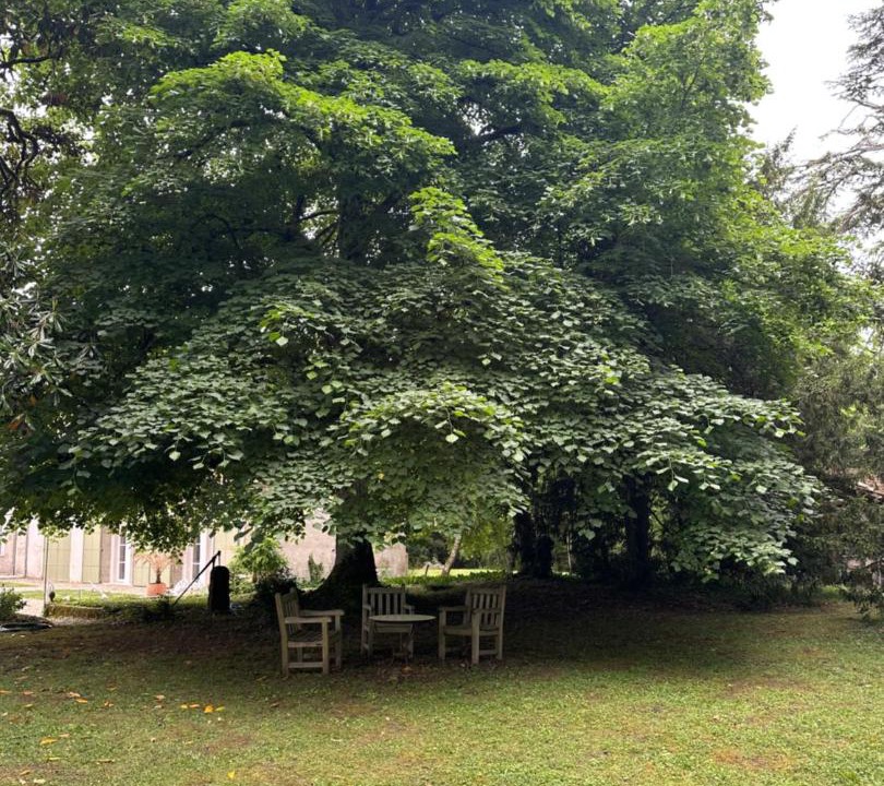 Photo of Outdoor in Moncaut